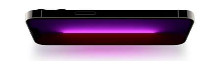 Apple iPhone 13 Pro Max mobitel, 6+128 GB, Graphite