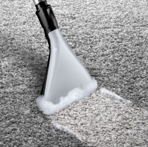 BOSCH mokro-suhi usisivač BWD421PET Wet & Dry; serije 4; ProAnimal 2100W