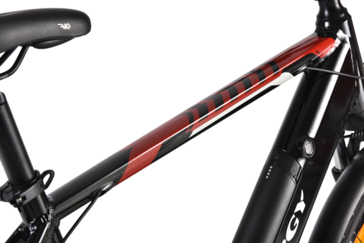 MS Energy električni bicikl t10