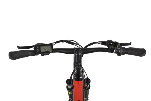 MS Energy električni bicikl t10