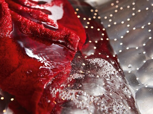 Miele perilica sušilica WTD 160 WCS PP