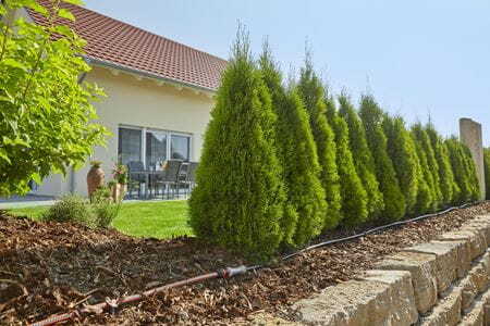 GARDENA start set za zalijevanje drveća