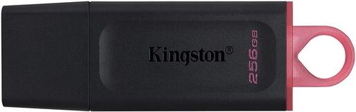 Kingston USB stick 256GB DTX KIN