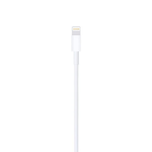Apple Lightning to USB Kabal (1 m)