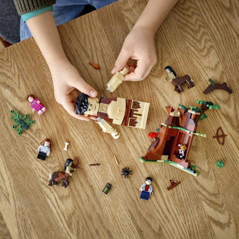 LEGO Harry Potter Zabranjena šuma: okršaj Grawpa i Umbridgeove 75967