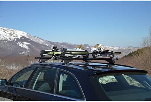 MENABO Nosači za skije ICEBERG 4