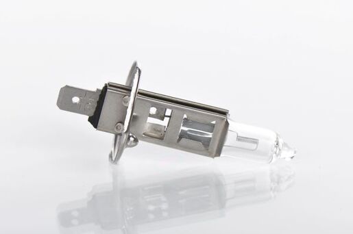 Bosch sijalica 12V H1 55W