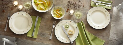 Seltmann Weiden set tanjira Marieluise Streublume 12/1 porculan