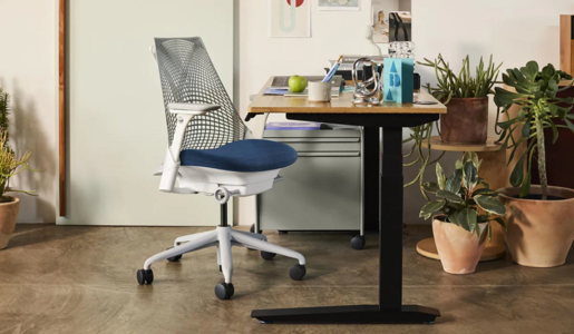 Herman Miller Sayl, stolica