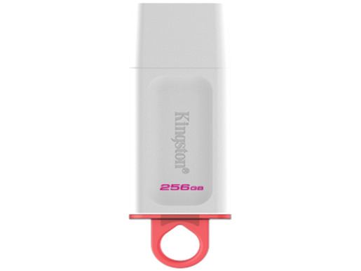 Kingston USB stick FD 256GB USB3.2 White DataTraveler Exodia