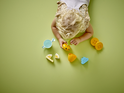 LEGO 10981 LEGO DUPLO Uzgoj mrkve