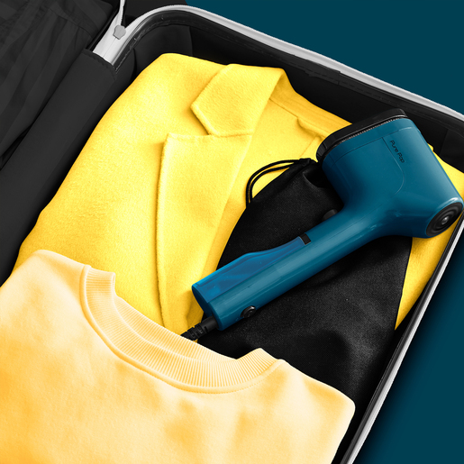 Tefal steamer pegla DT2020E1