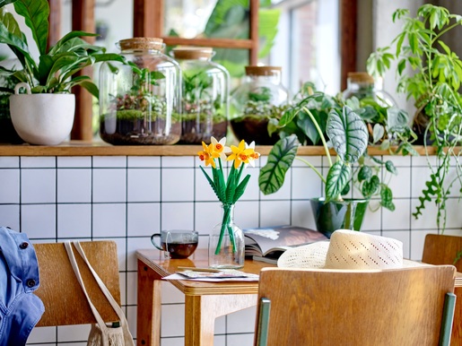 LEGO Iconic Narcisi 40747