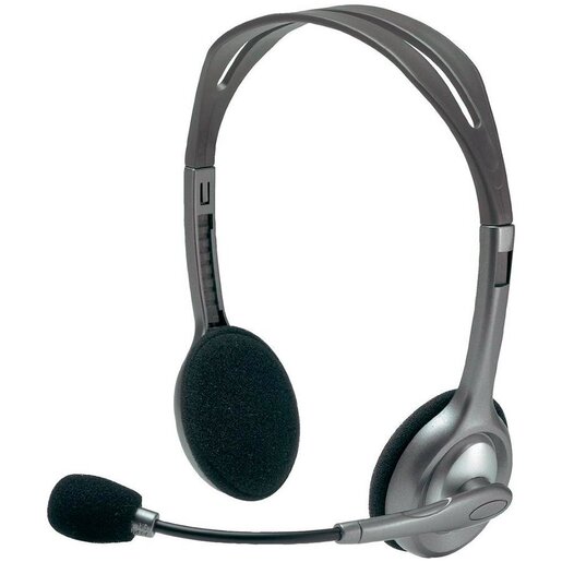 Logitech slušalice H110 stereo s mikrofonom, žične, srebrena boja