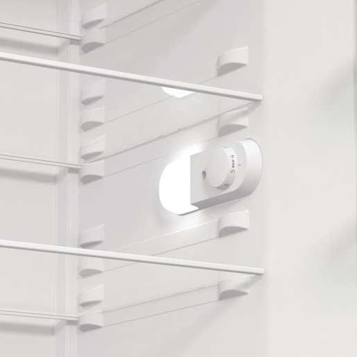 Gorenje frižider R619EEW5