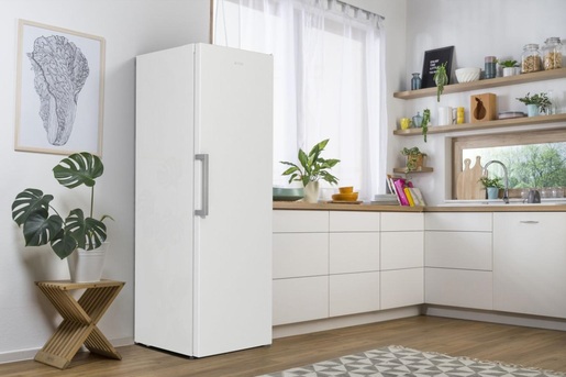 Gorenje frižider R619EEW5