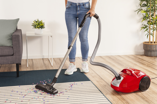 ROWENTA usisavač RO3953EA COMPACT POWER PARQUET s vrećicom