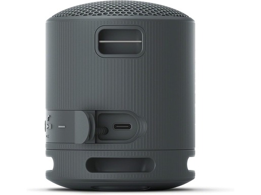 Sony Bluetooth® zvučnik XB100, Crni