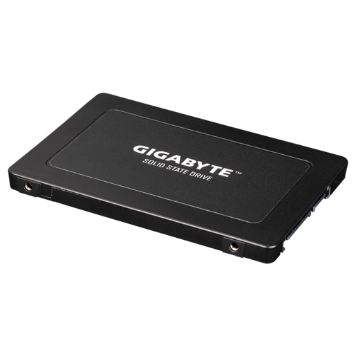 Gigabyte SSD 256GB,2.5"; R/W : 520/500MB/s GP-GSTFS31256GTND G12
