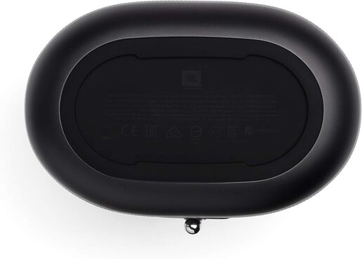 JBL prijenosni Bluetooth zvučnik sa DAB/FM radiom TUNER XL, crni