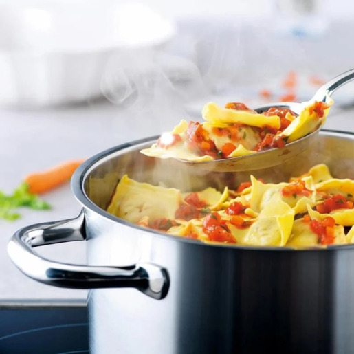 Fissler lonac s poklopcem San Francisco, promjer 24cm / kapacitet 5,3L