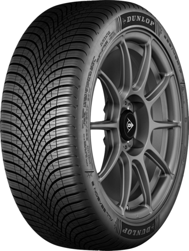 DUNLOP 205/55R16 91V ALL SEASON 2 MS DUNLOP guma