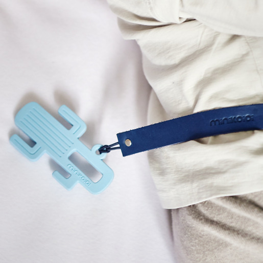 Minikoioi glodalica kaktus / siva