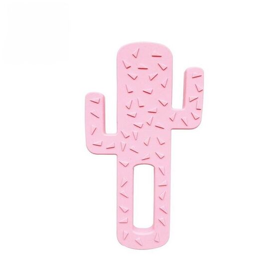 Minikoioi glodalica kaktus / roza