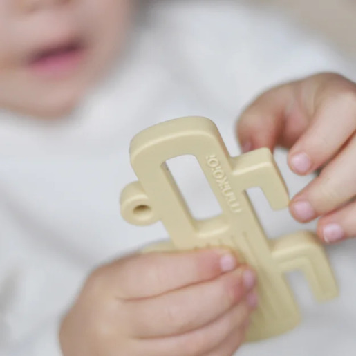 Minikoioi glodalica kaktus / roza