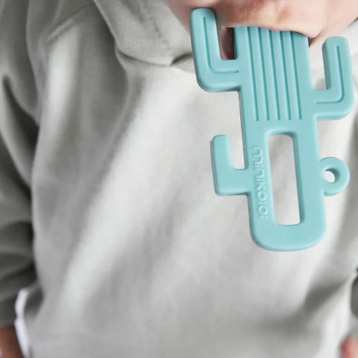 Minikoioi glodalica kaktus / roza