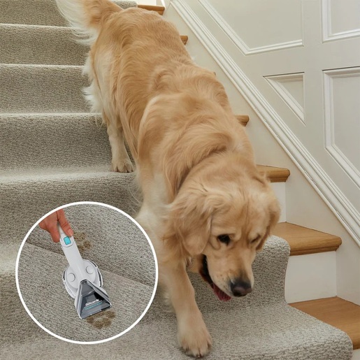 Shark usisivač za dubinsko čišćenje PX200EUT StainStriker Pet