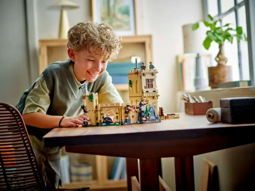 LEGO Dvorac Hogwarts™: Nastava letenja 76447