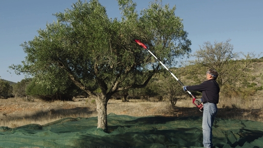 Einhell PXC tresač voća/maslina GE-FS 18/53 Li-Solo