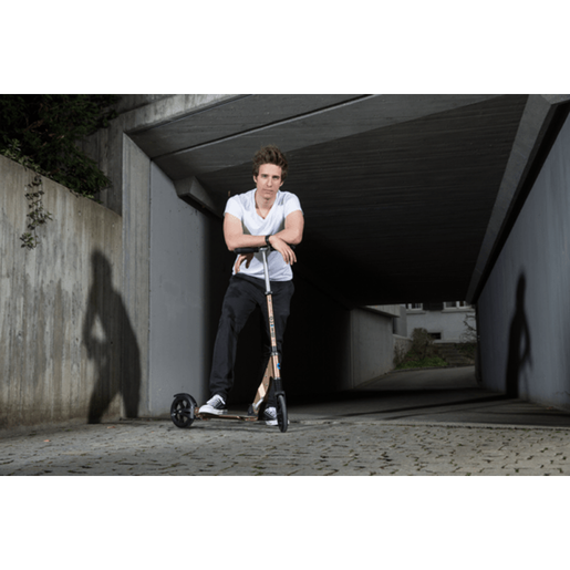 Micro romobil Suspension Bronze 2