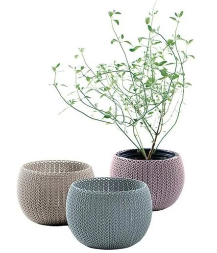 KETER Saksije 15x15x10 COZIES TRIO