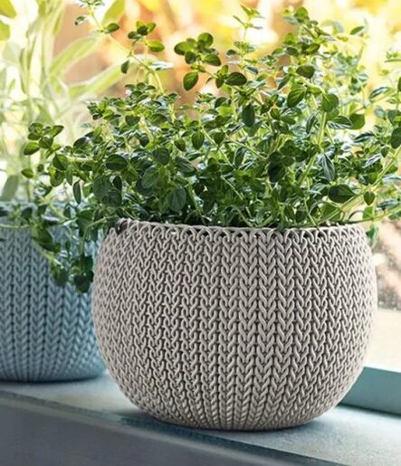 KETER Saksije 15x15x10 COZIES TRIO