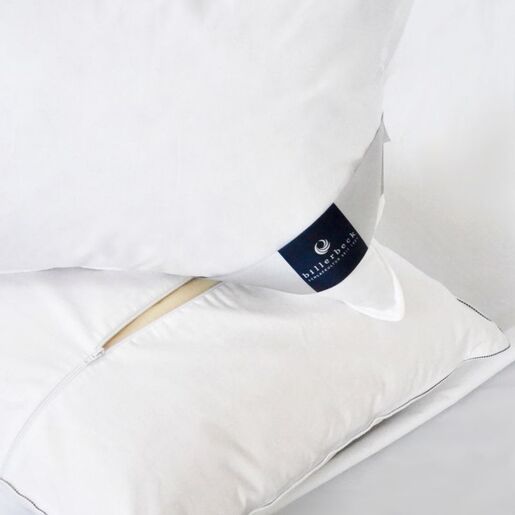 Billerbeck jastuk pamuk Andria, 50x70cm