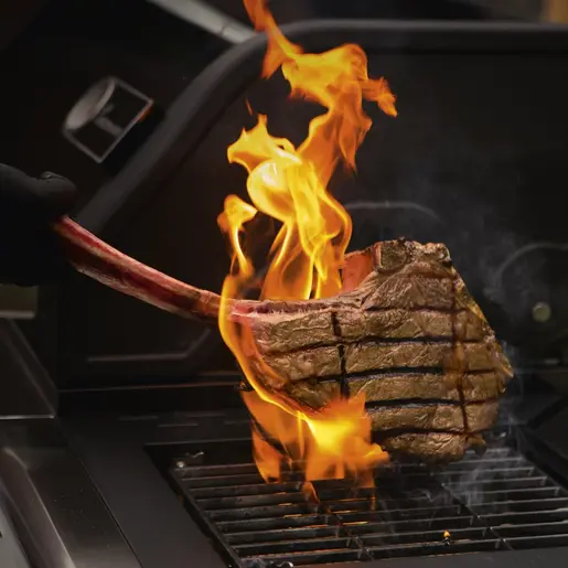 LANDMANN kombinacija plinski roštilj  +  na ugljen TRITON 4.1  140 x57x121CM 04585