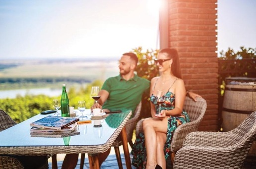 Green Bay stol DIXON