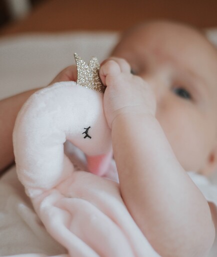 Tryco Mazilica Labud Ivy