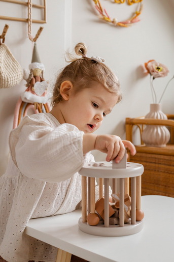 Label Label točak za sortiranje oblika - Nougat