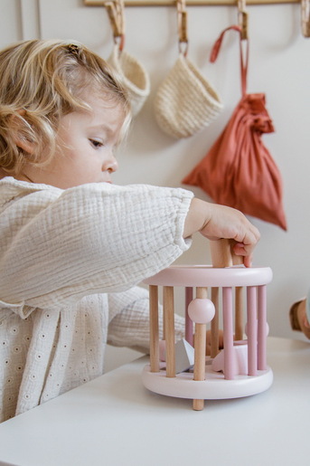 Label Label točak za sortiranje oblika - Pink