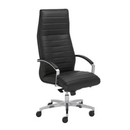 Stolica kancelarijska NS Lynx-multiblock sa ruk. i krom bazom koža crna