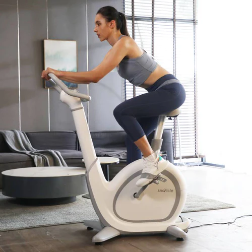 Snailcle sobno biciklo Snail bike S1