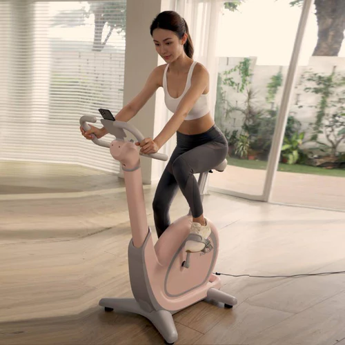 Snailcle sobno biciklo Snail bike S1