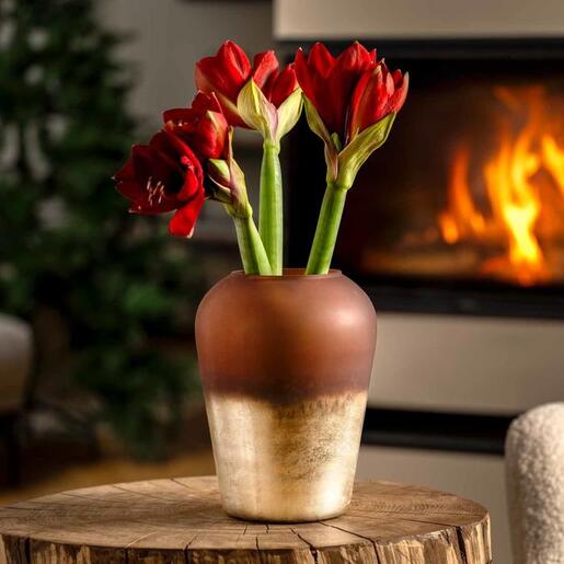 Leonardo vaza 27 cm smeđa CAPANNA