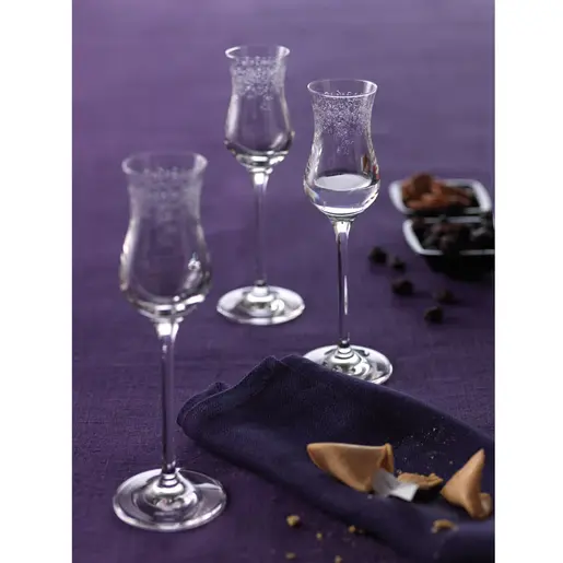 Leonardo set 6 čaša za rakiju Grappa CHATEAU 90 ml – čaše za fina pića, kristalno staklo