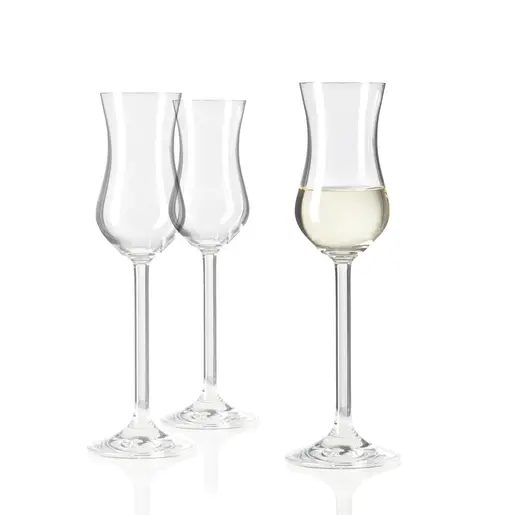 Leonardo set 6 čaša za grappa DAILY 100 ml