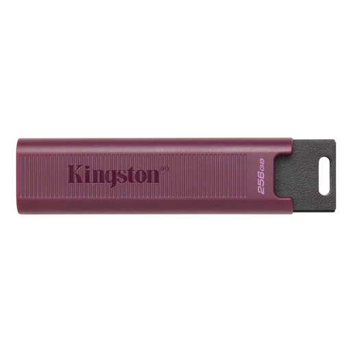 Kingston USB Stick 256GB USB-A