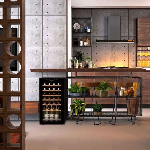 Dunavox frižider za vino Home-28 (DXFH-28.88)